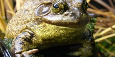 Image by Brigitte makes custom works from your photos, thanks a lot from Pixabay